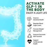 益生菌胶囊厂家 - GLP-1 3000亿AFU肠道