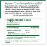 芦荟胶囊厂家 - 消化免疫草本补充剂代工