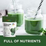 螺旋藻粉供应商 - 私标超级食品抗氧化