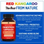 Digestive Enzymes Capsules Manufacturer - OEM Gut Microbiome