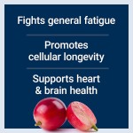 NAD胶囊生产厂家 - 私标抗衰老免疫