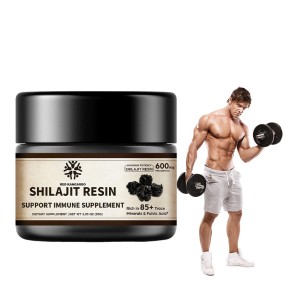 Shilajit Resin Manufacturer - Himalayan Organic Energy Immune