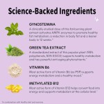 脂肪燃烧胶囊供应商 - 绿茶代谢提升代工