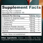 夜间脂肪燃烧胶囊厂家 - 体重管理产热