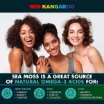 海苔胶囊厂家 - 爱尔兰海苔免疫肠道健康