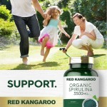 螺旋藻胶囊供应商 - 批发有机素食蛋白