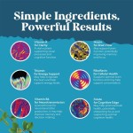 益智胶囊厂家 - 心智能量大脑专注代工