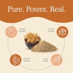 虫草胶囊供应商 - 蘑菇提取物能量免疫代工