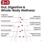 益生菌胶囊生产厂家 - 畅销肠道健康
