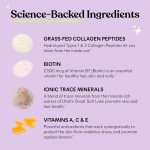 胶原蛋白软糖厂家 - 2500mg生物素皮肤头发支持