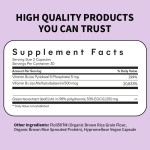 脂肪燃烧胶囊供应商 - 绿茶代谢提升代工