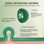 蜂胶凝胶供应商 - 脂质体维生素C蜂蜜代工