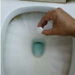 厕所清洁片供应商 - 一次性污渍去除