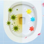 洁厕凝胶厂家 - 芳香空气清新花香凝胶