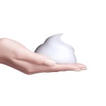 织物清洁喷雾供应商 - 免洗干泡沫去除