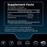 NAD补充剂供应商 - 1500mg脂质体贴牌