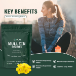 呼吸健康软糖供应商 - 1000mg毛蕊花叶提取