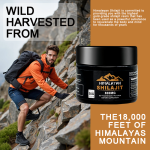 喜来芝提取物工厂 - 天然多种矿物质黄腐