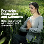 呼吸健康软糖供应商 - 1000mg毛蕊花叶提取