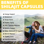 喜来芝软糖供应商 - 喜马拉雅60粒独立包装有机