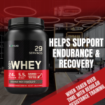 Whey Protein Powder Factory - Wholesale Gold Standard Gym