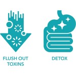 结肠支持胶囊工厂 - 番泻叶清洁批发