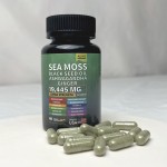 草本胶囊生产厂家 - 墨角藻贴牌定制