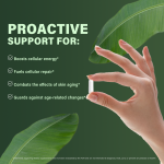 NAD胶囊供应商 - 脂质体抗衰老批发