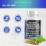 海苔胶囊供应商 - 姜黄墨角藻批发