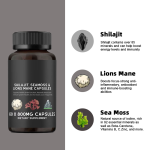 喜来芝胶囊供应商 - 有机海苔猴头菇