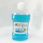 Mouthwash Manufacturer - Support Customization 250ml Mint