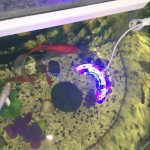 牙齿漂白灯生产厂家 - 时尚便携LED