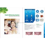 Teeth Whitening Lamp Supplier - Professional 36 Watt Chinese