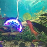 牙齿漂白灯生产厂家 - 时尚便携LED