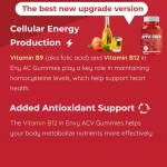 苹果醋软糖供应商 - 热销60片减肥