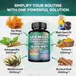 海藻胶囊厂家 - 抗衰老姜黑籽油