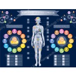 矿物质纤维胶囊生产厂家 - 蔬菜水果多种维生素