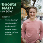 烟酰胺核糖胶囊供应商 - 脂质体NAD能量