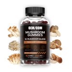 Mushroom Gummies Manufacturer - 2500mg 10-Blend Immune Brain
