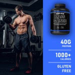 蛋白粉厂家 - 增重肌肉健康增肌