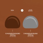 Mushroom Gummies Factory - Reishi Lions Mane Cordyceps