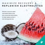 氨基酸粉供应商 - 批发必需氨基酸健身