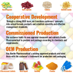 Inositol Capsules Factory - Wholesale Happy Hormones 90