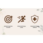 蘑菇咖啡供应商 - 有机10合1混合物代工