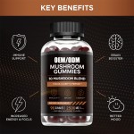 Mushroom Gummies Manufacturer - 2500mg 10-Blend Immune Brain