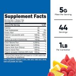 益生元粉供应商 - 素食肠道健康ODM代工