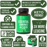 氨基酸胶囊工厂 - 源头厂家植物胶囊壳