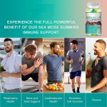 Sea Moss Gummies Manufacturer - Organic Elderberry Resistance