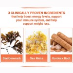 海藻免疫胶囊供应商 - 厂家素食胶囊壳