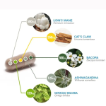 健脑胶囊生产厂家 - 记忆注意力增强OEM代工